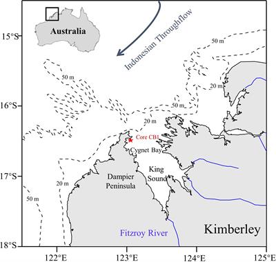 The Application of an Artificial Neural Network to Quantify Anthropogenic and Climatic Drivers in Coastal Phytoplankton Shift